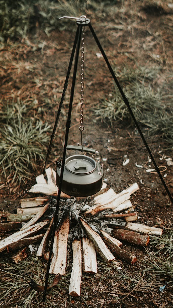 Free stock photo of asia, asian, bogor